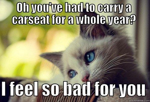 OH YOU'VE HAD TO CARRY A CARSEAT FOR A WHOLE YEAR?  I FEEL SO BAD FOR YOU First World Problems Cat