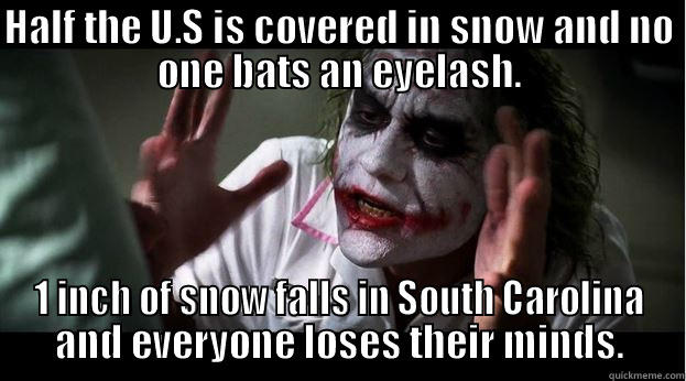 South Carolina in the Winter - HALF THE U.S IS COVERED IN SNOW AND NO ONE BATS AN EYELASH. 1 INCH OF SNOW FALLS IN SOUTH CAROLINA AND EVERYONE LOSES THEIR MINDS. Joker Mind Loss