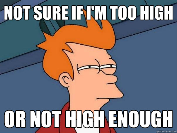 Not sure if I'm too high Or not high enough - Not sure if I'm too high Or not high enough  Futurama Fry