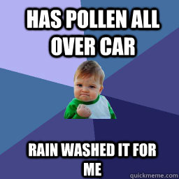 Has pollen all over car  rain washed it for me - Has pollen all over car  rain washed it for me  Sucess Kid