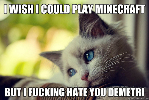 I wish i could play minecraft but i fucking hate you demetri  First World Problems Cat