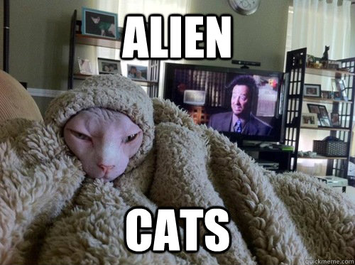 Alien cats - Alien cats  Misc