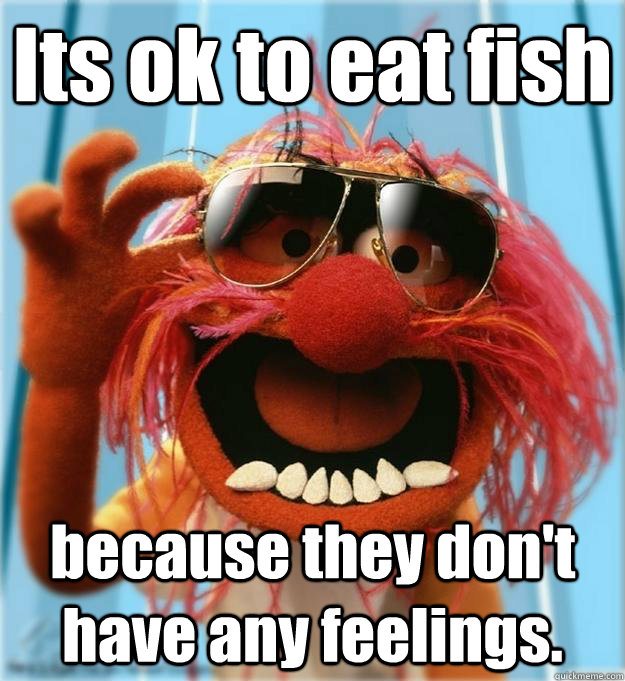 Its ok to eat fish because they don't have any feelings. - Its ok to eat fish because they don't have any feelings.  Advice Animal