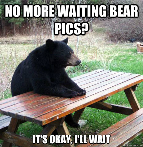 No more waiting bear pics? It's okay, I'll wait  waiting bear