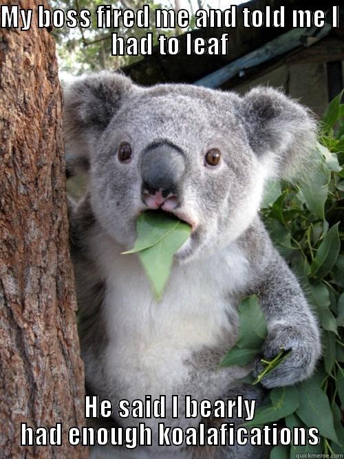 MY BOSS FIRED ME AND TOLD ME I HAD TO LEAF HE SAID I BEARLY HAD ENOUGH KOALAFICATIONS koala bear