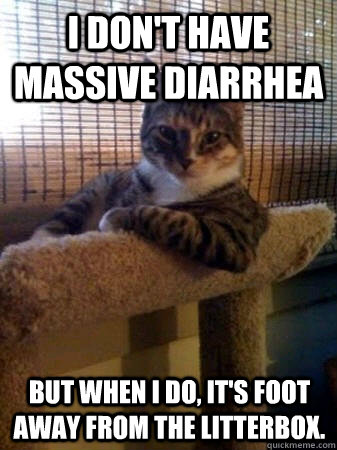 I don't have massive diarrhea but when I do, it's foot away from the litterbox.  The Most Interesting Cat in the World