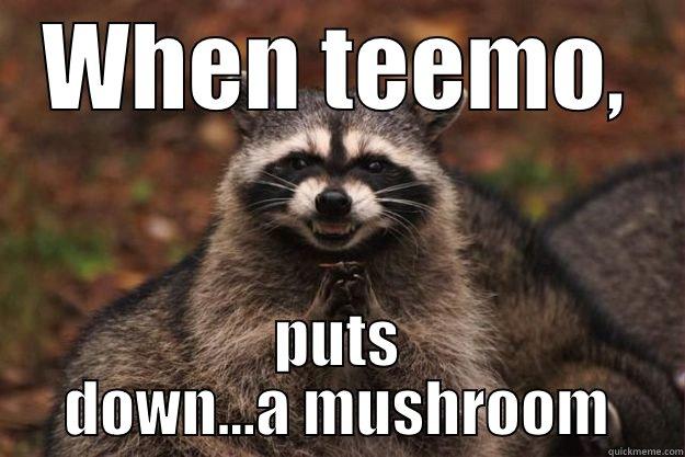 WHEN TEEMO, PUTS DOWN...A MUSHROOM Evil Plotting Raccoon