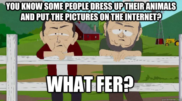 you know some people dress up their animals and put the pictures on the internet? What fer? - you know some people dress up their animals and put the pictures on the internet? What fer?  What fer