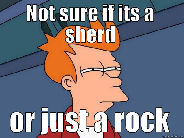 CMA or AFR - NOT SURE IF ITS A SHERD OR JUST A ROCK Futurama Fry