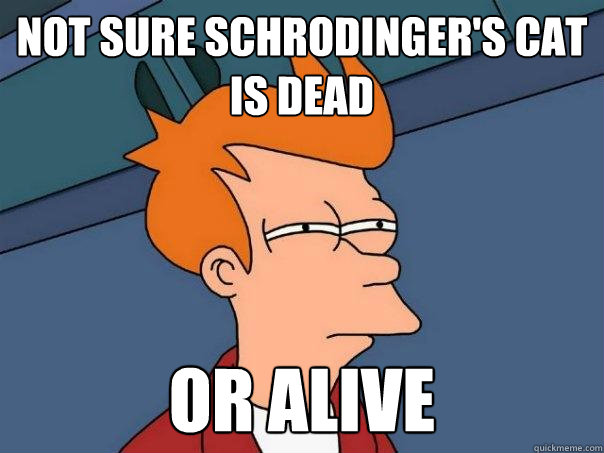 Not sure Schrodinger's cat is dead or alive  Futurama Fry