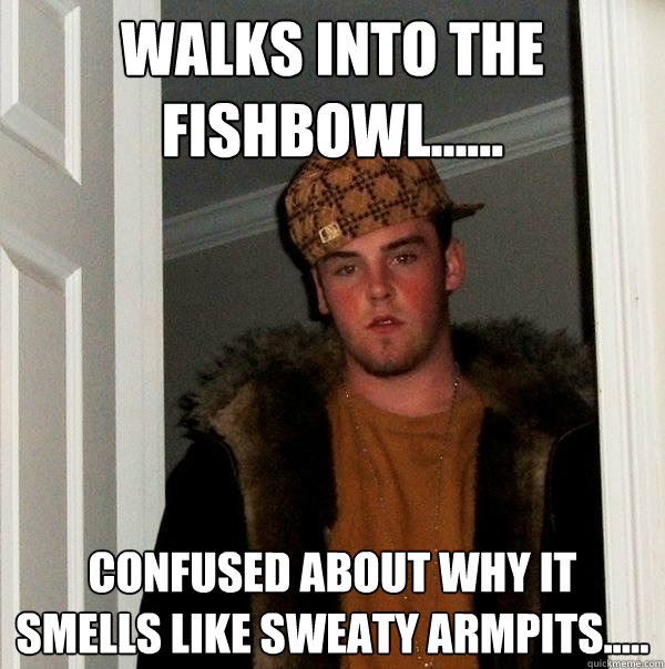 Walks into the fishbowl...... confused about why it smells like sweaty armpits.....  Scumbag Steve