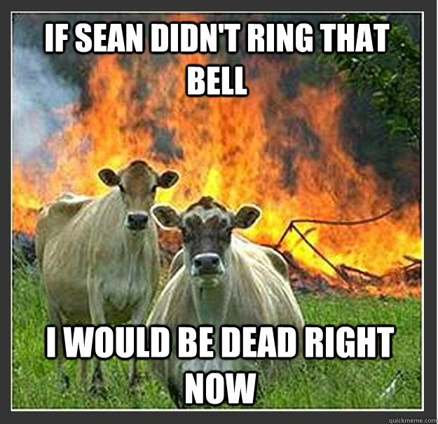 If Sean didn't ring that bell I would be dead right now   Evil cows