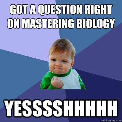 Got a question right on Mastering Biology YESSSSHHHHH  Success Kid