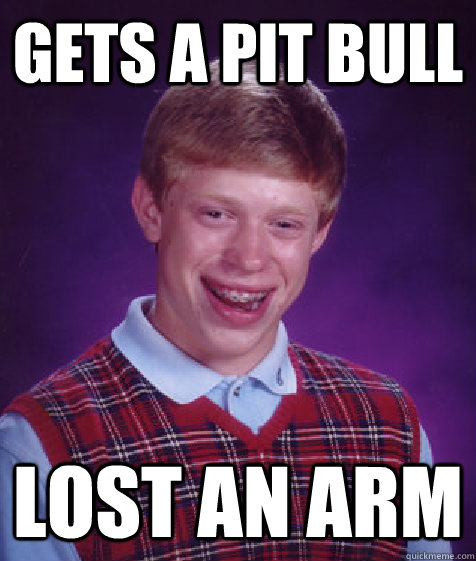 Gets a pit bull lost an arm - Gets a pit bull lost an arm  Bad Luck Brian