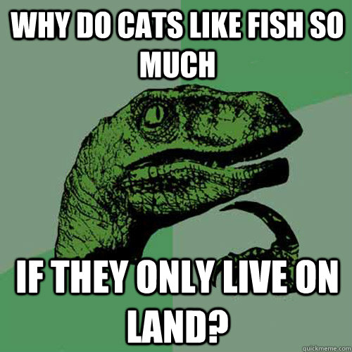 why do cats like fish so much If they only live on land?  Philosoraptor