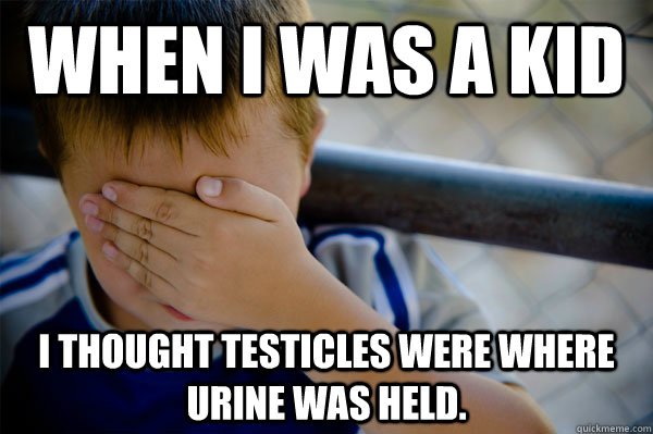 When I was a kid I thought testicles were where urine was held.  Confession kid