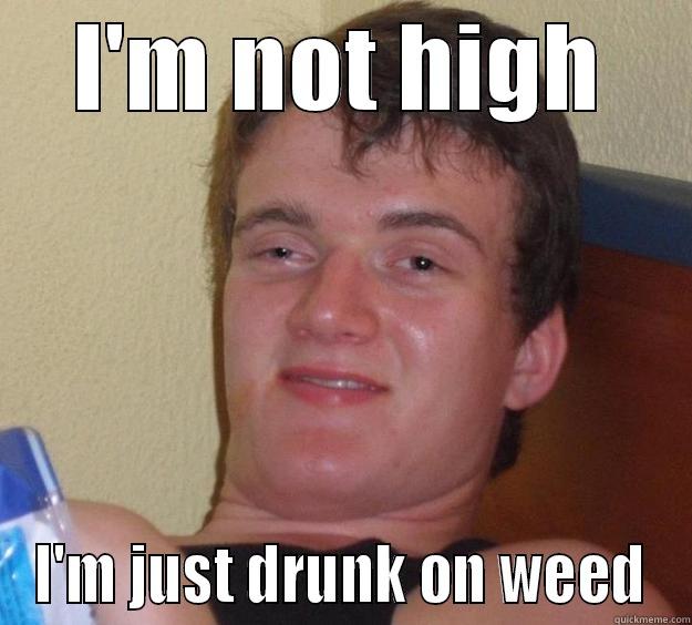 Im not high - I'M NOT HIGH I'M JUST DRUNK ON WEED 10 Guy