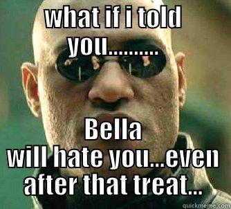 bella throne - WHAT IF I TOLD YOU.......... BELLA WILL HATE YOU...EVEN AFTER THAT TREAT... Matrix Morpheus