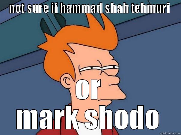 NOT SURE IF HAMMAD SHAH TEHMURI OR MARK SHODO Futurama Fry