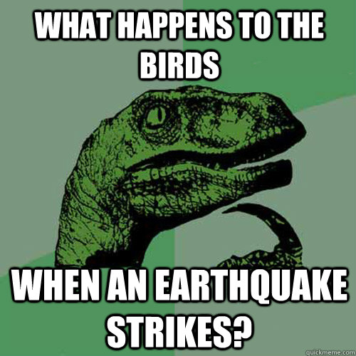 What happens to the birds when an earthquake strikes?  Philosoraptor