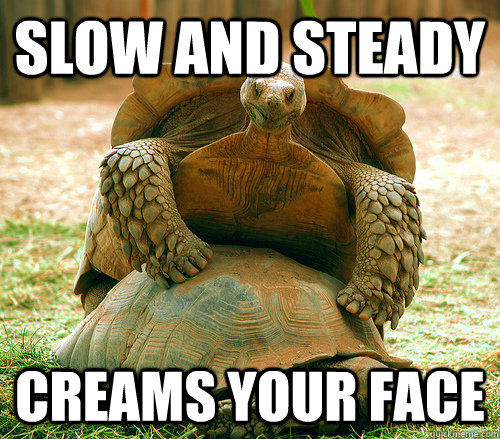 slow and steady creams your face - slow and steady creams your face  Misc