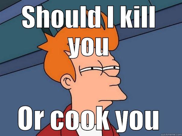 SHOULD I KILL YOU OR COOK YOU Futurama Fry