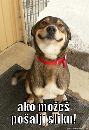  AKO MOŽEŠ POŠALJI SLIKU! Good Dog Greg