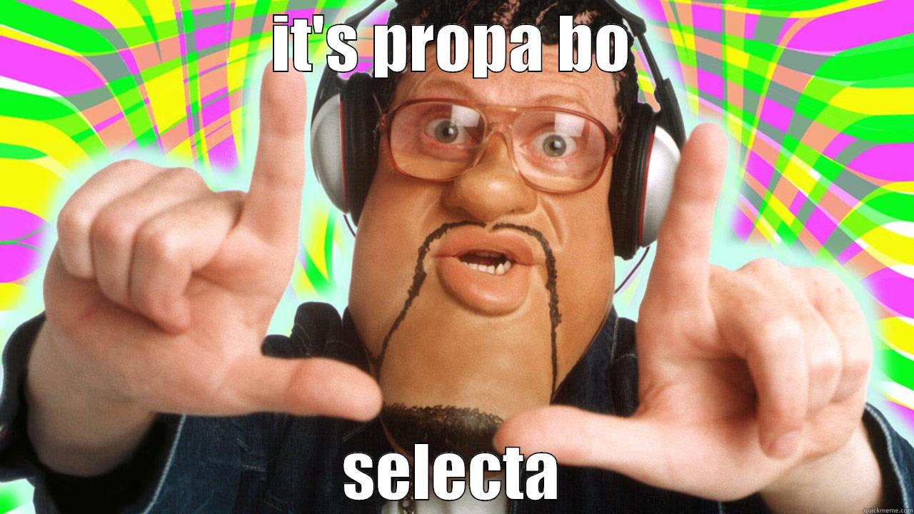 bo selecta - IT'S PROPA BO SELECTA Misc