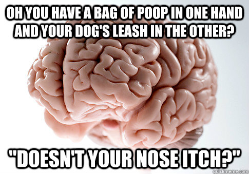 Oh you have a bag of poop in one hand and your dog's leash in the other? 