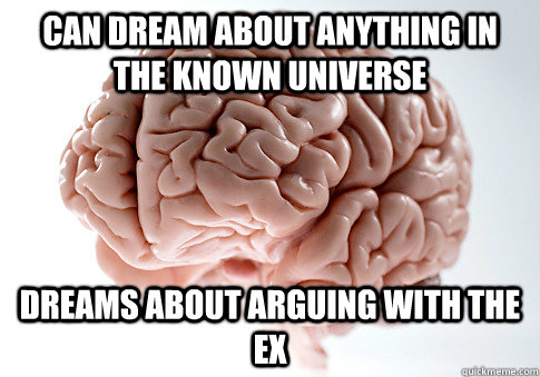 can dream about anything in the known universe dreams about arguing with the ex  Scumbag Brain