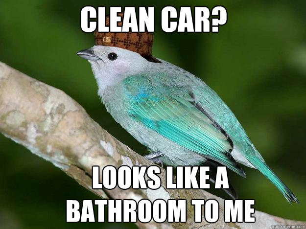 Clean car? Looks like a bathroom to me  