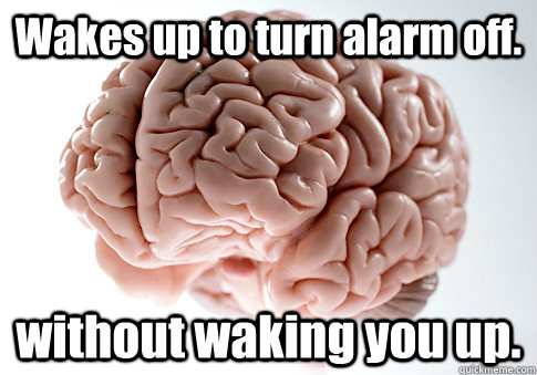 Wakes up to turn alarm off. without waking you up.   Scumbag Brain