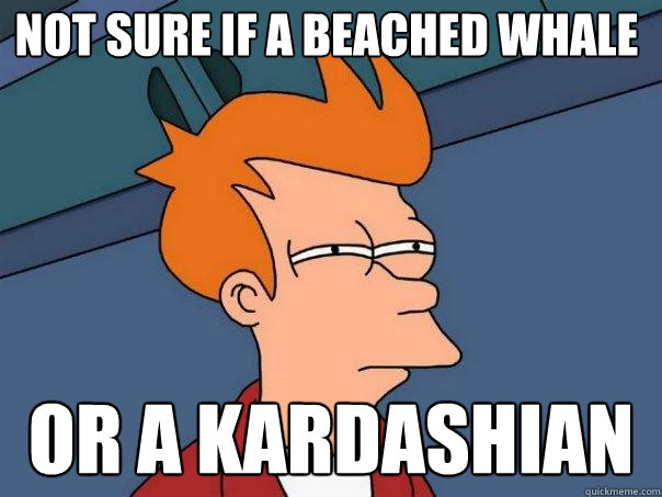 Not sure if a beached whale Or a Kardashian  Futurama Fry