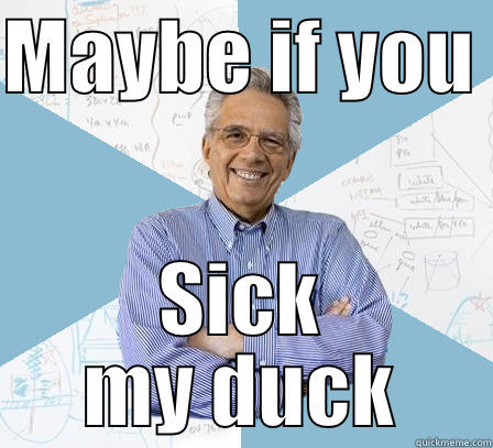 MAYBE IF YOU  SICK MY DUCK Engineering Professor