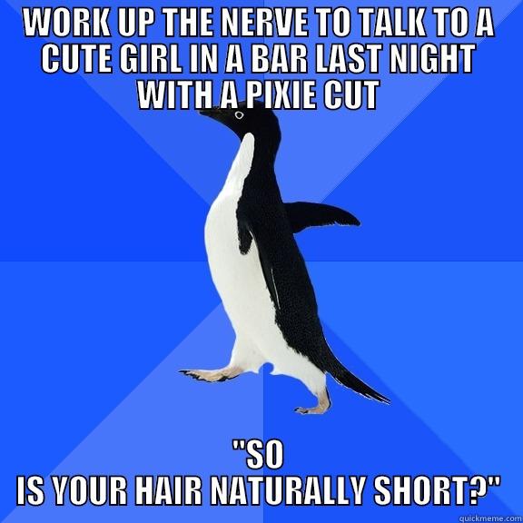 Not my finest hour - WORK UP THE NERVE TO TALK TO A CUTE GIRL IN A BAR LAST NIGHT WITH A PIXIE CUT 