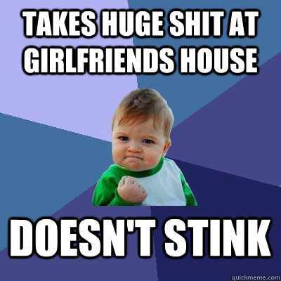 Takes huge shit at girlfriends house Doesn't Stink  Success Kid