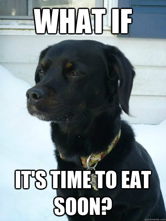 What if  It's time to eat soon?  Philosophical Puppy