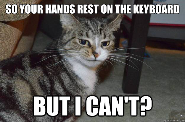 so your hands rest on the keyboard but i can't? - so your hands rest on the keyboard but i can't?  Kleptomaniac Kitty