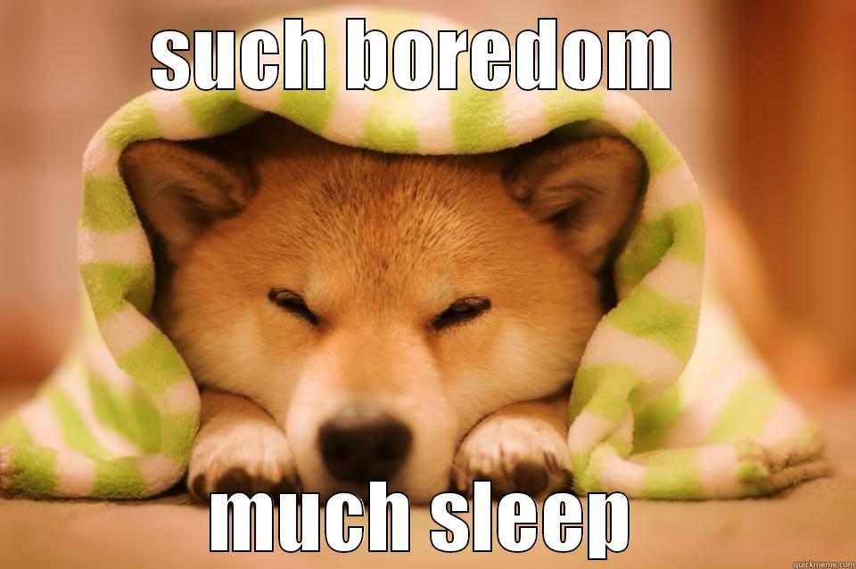 sleepy doge ;) - SUCH BOREDOM  MUCH SLEEP Misc