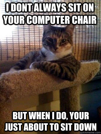 i dont always sit on your computer chair but when i do, your just about to sit down - i dont always sit on your computer chair but when i do, your just about to sit down  The Most Interesting Cat in the World