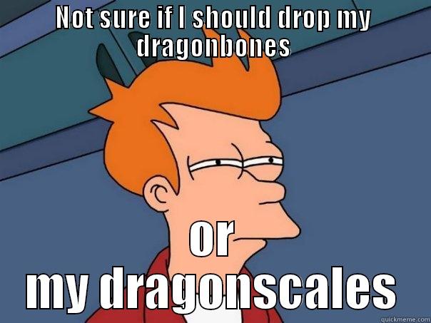 NOT SURE IF I SHOULD DROP MY DRAGONBONES OR MY DRAGONSCALES Futurama Fry