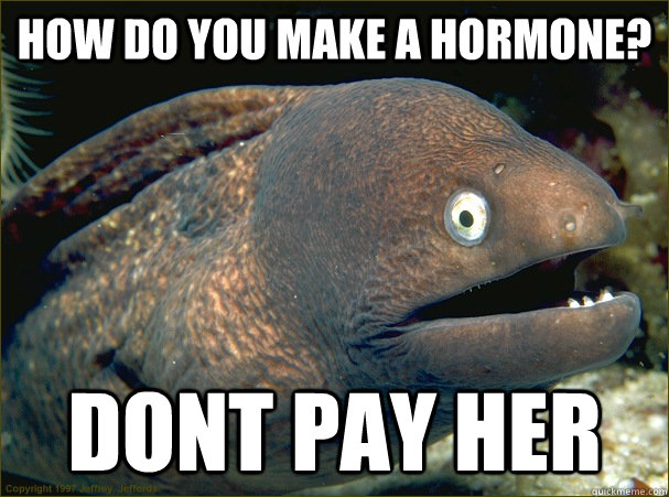 How do you make a hormone? dont pay her  Bad Joke Eel