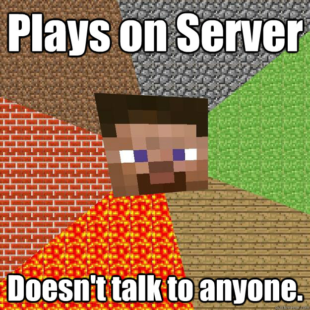 Plays on Server Doesn't talk to anyone.  Minecraft