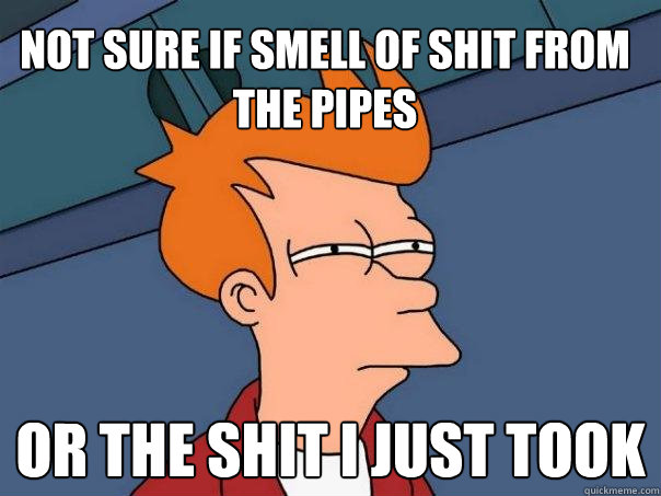 not sure if smell of shit from the pipes or the shit i just took  Futurama Fry