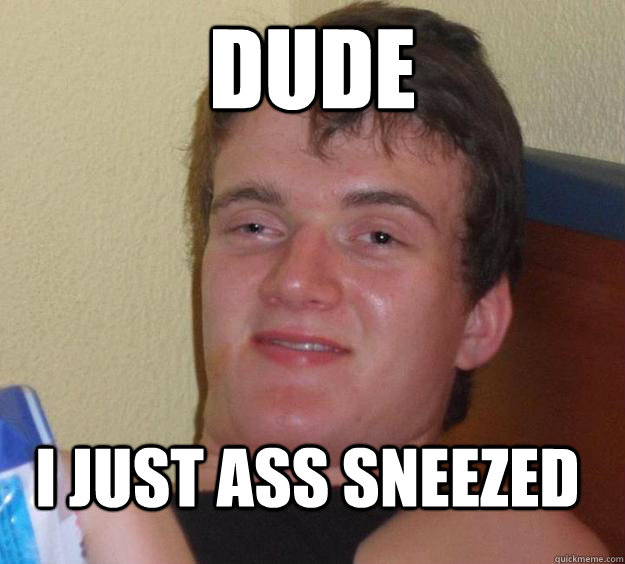 Dude I just ass sneezed  10 Guy