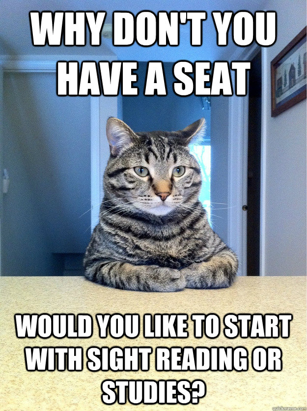 Why don't you have a seat would you like to start with sight reading or studies?  Chris Hansen Cat