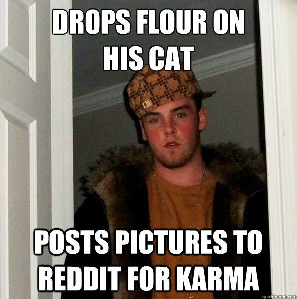 drops flour on 
his cat posts pictures to reddit for karma  Scumbag Steve