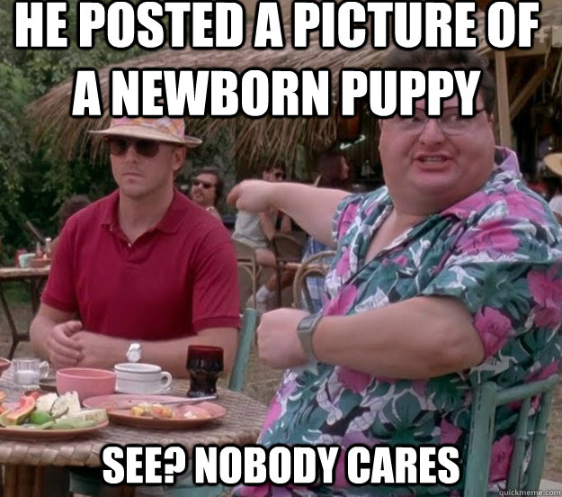 He Posted a picture of a newborn puppy See? nobody cares - He Posted a picture of a newborn puppy See? nobody cares  we got dodgson here