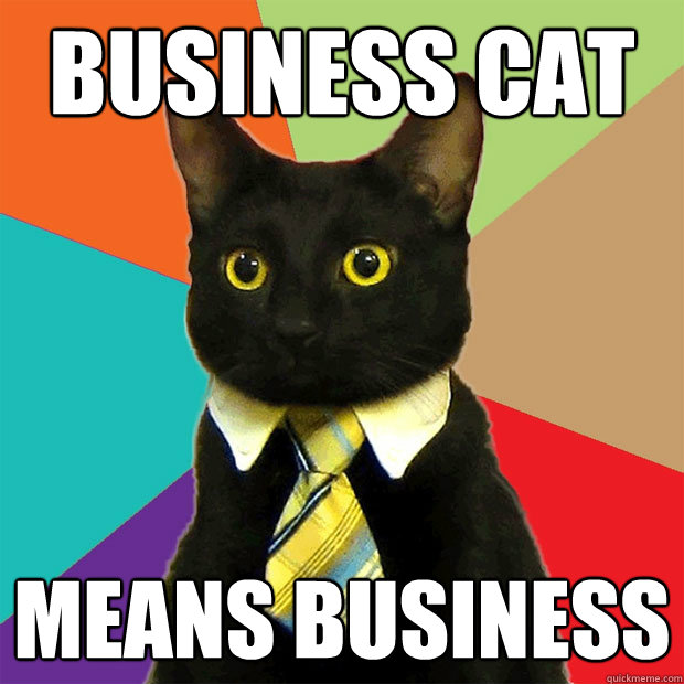 Business Cat Means Business  Business Cat