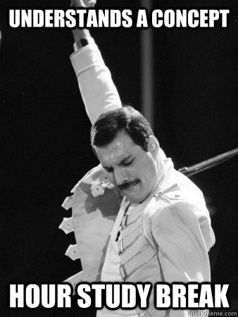 Understands a concept Hour study break  Freddie Mercury